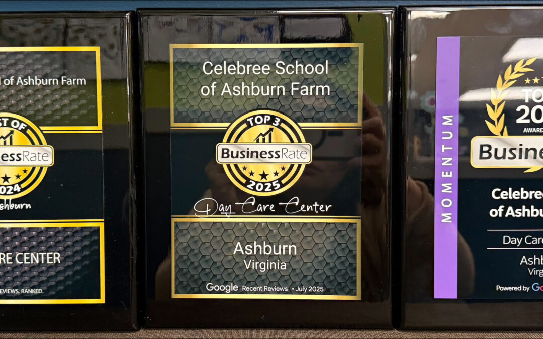 Why Celebree School of Ashburn Farm Is a Top-Rated Childcare Program in Ashburn