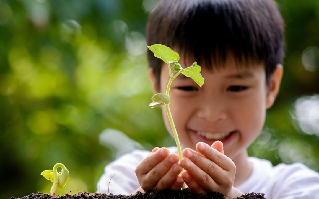 Spring Has Sprung at Celebree School of Dallas Arts District!