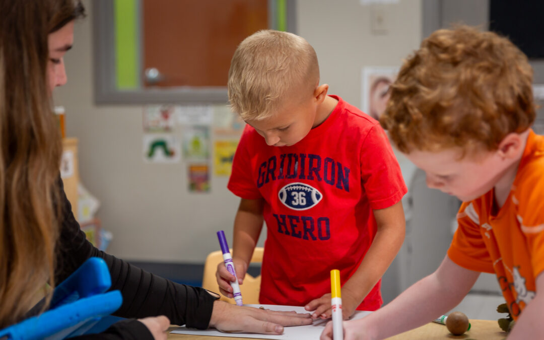 Dual Language Learning in Early Childhood Education