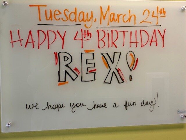 Creating Meaningful Preschool Experiences: A Birthday to Remember