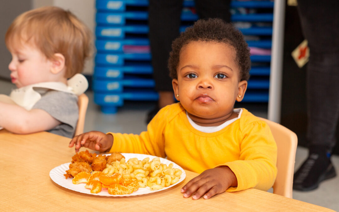 Easy Preschool Lunch Ideas: What to Pack for Your Little One