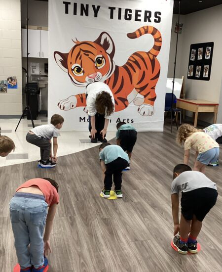 Tiny Tigers