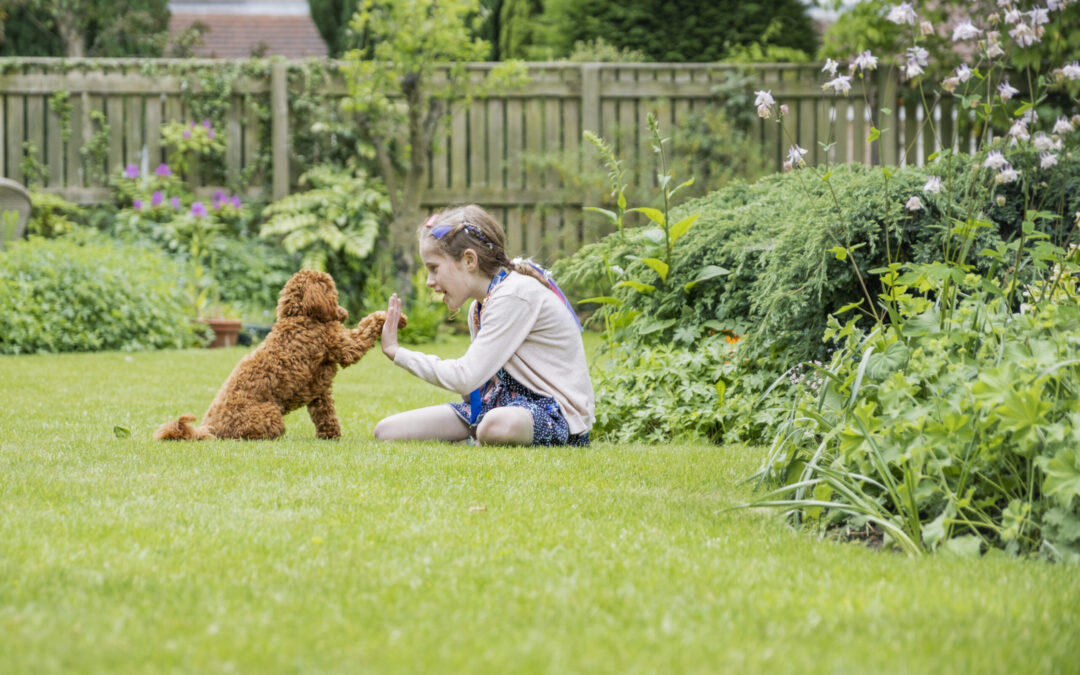 Unleashing the Power of Pets: 6 Ways Pets Can Transform Your Child’s Development