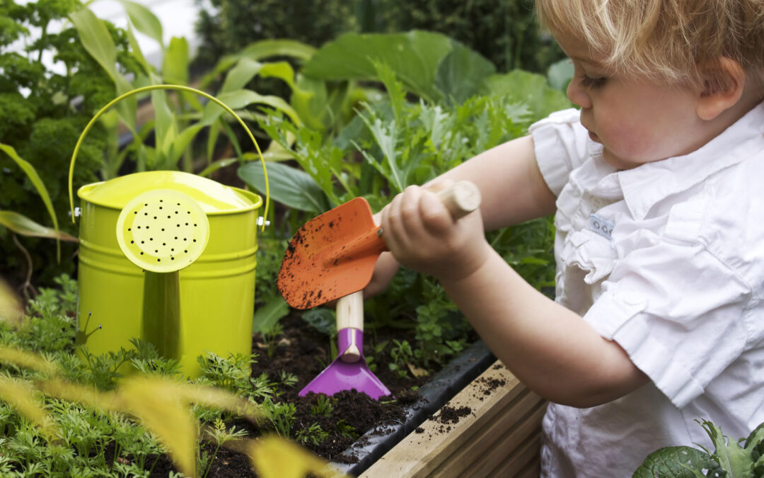 How Nature Builds STEM Skills and Brainpower in Young Kids